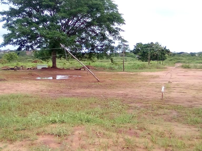 Hasta el Fiscal Tarek William llevan caso de estafa en Villa Peonía