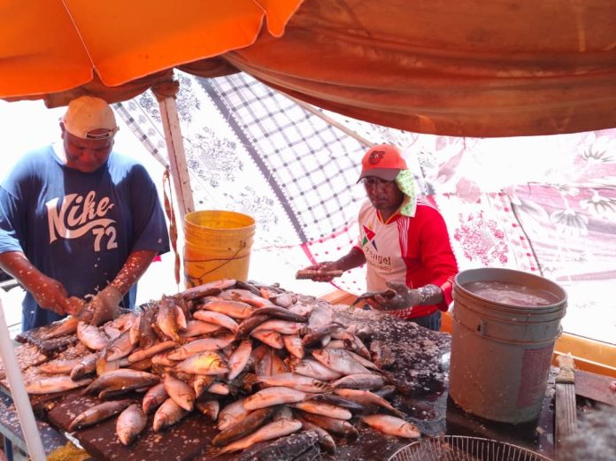 WhatsApp Image 2024-08-20 at 22.29.32