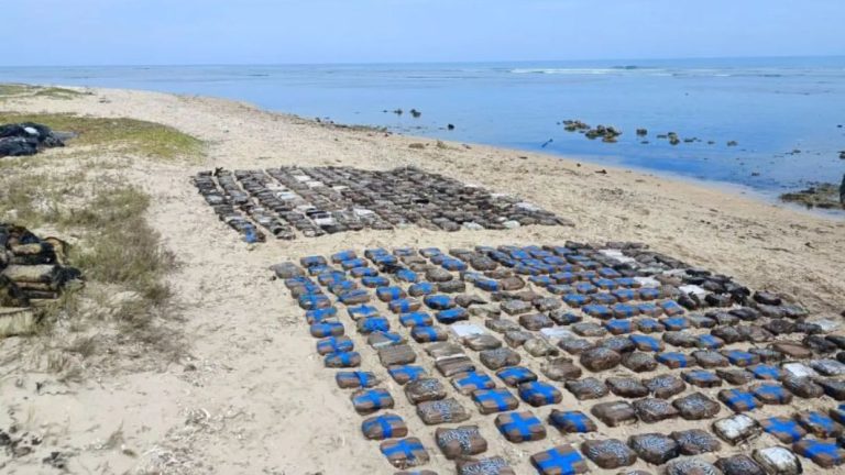 Incautan más de 1.200 panelas de droga en Paraguaná