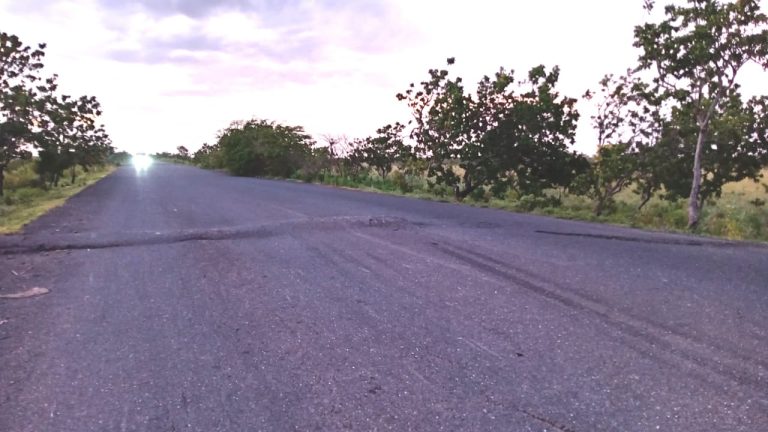 En mal estado vialidad de Los Pinos