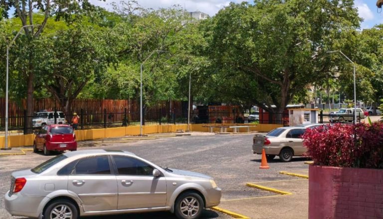 Alerta de abejas generó pánico en Alta Vista