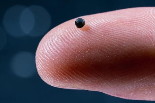 Microrobots para medicarnos dentro del cuerpo