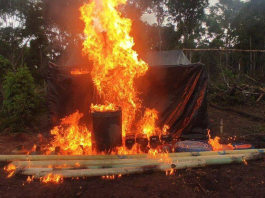 Militares venezolanos desmantelan campamento minero ilegal en la Amazonía