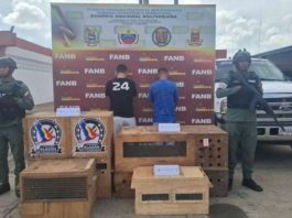 Detienen a dos traficantes de fauna silvestre en Ciudad Bolívar