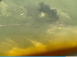 Militares inmovilizan aeronave que ingresó ilegalmente a espacio venezolano