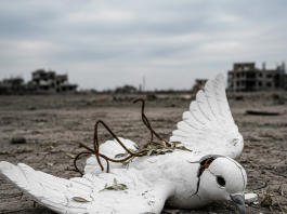 La paz en estos tiempos pasa trabajo