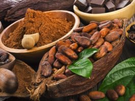 Venezuela exportó 200 toneladas de cacao hacia Rusia