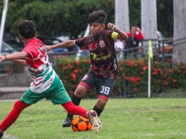 Aifi Guayana participa con 3 equipos en la Liga de Desarrollo