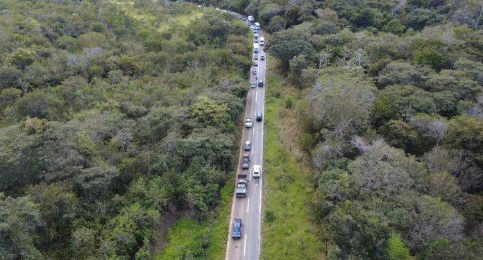 3 Inspección Troncal 10