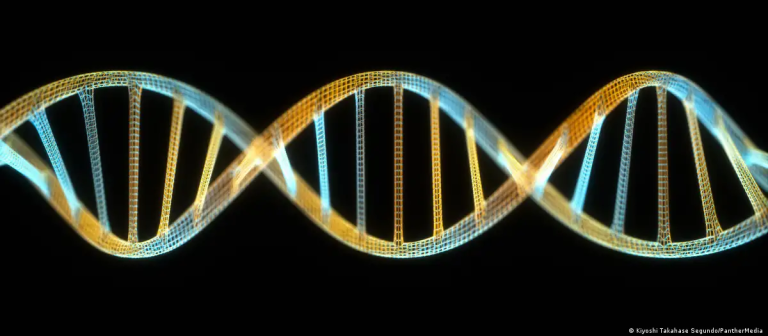 Google crea IA para leer la «gramática de la vida»