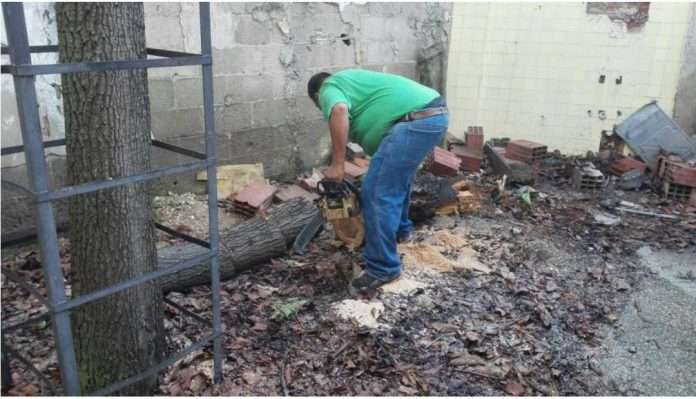 nota-principal-696x399