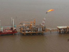 Shell: licencia general de EE.UU. permitirá avanzar con Campo Dragón