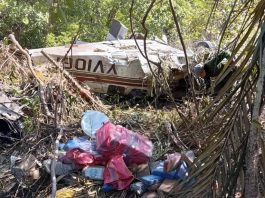 Murió piloto al estrellar su avión entre Brasil y Venezuela