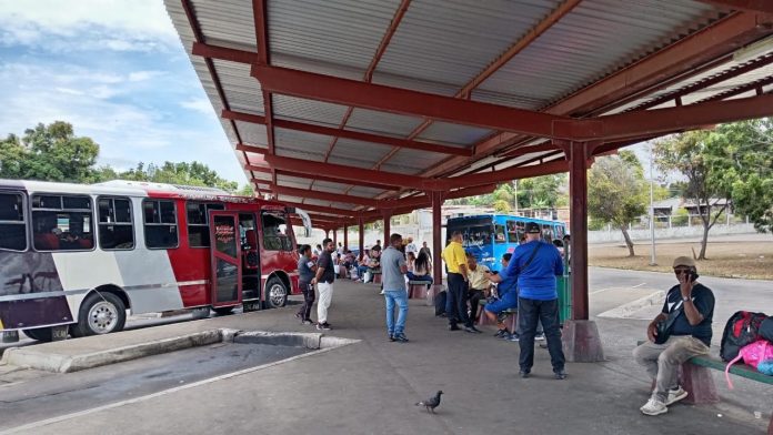 WhatsApp Image 2026-03-31 at 18.17.23