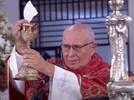 Arzobispo de Caracas abogó por «paz, reconciliación y perdón» en Domingo de Ramos