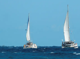 Los veleros desaparecidos llegaron a Cuba «sanos y salvos»